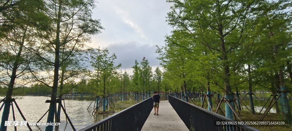 漫步林間棧道賞自然美景
