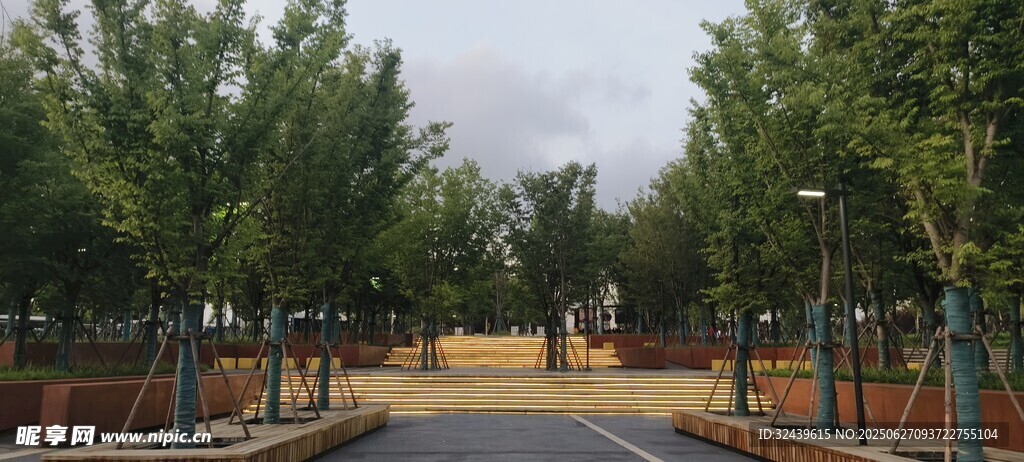 林蔭步道靜謐的戶外空間