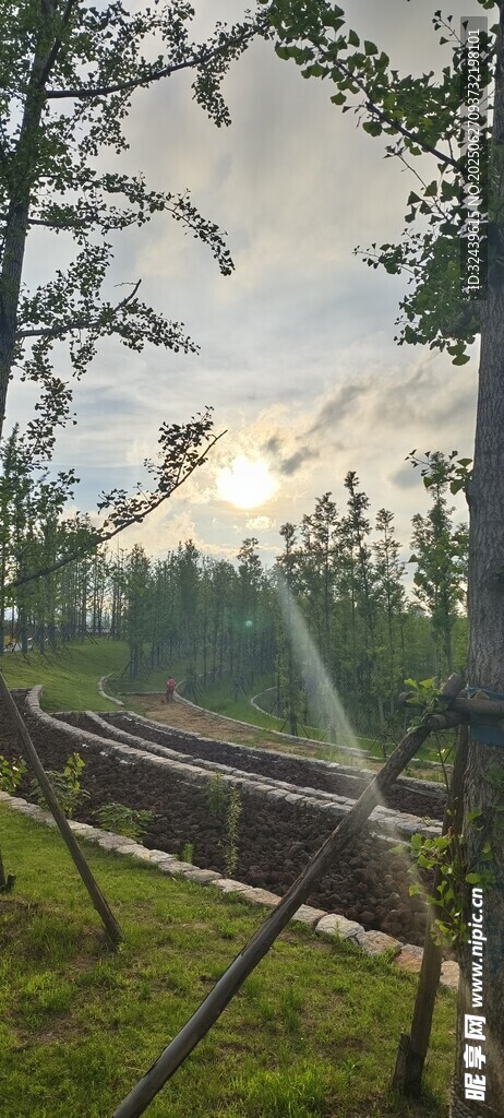 戶外草地中的灌溉設施