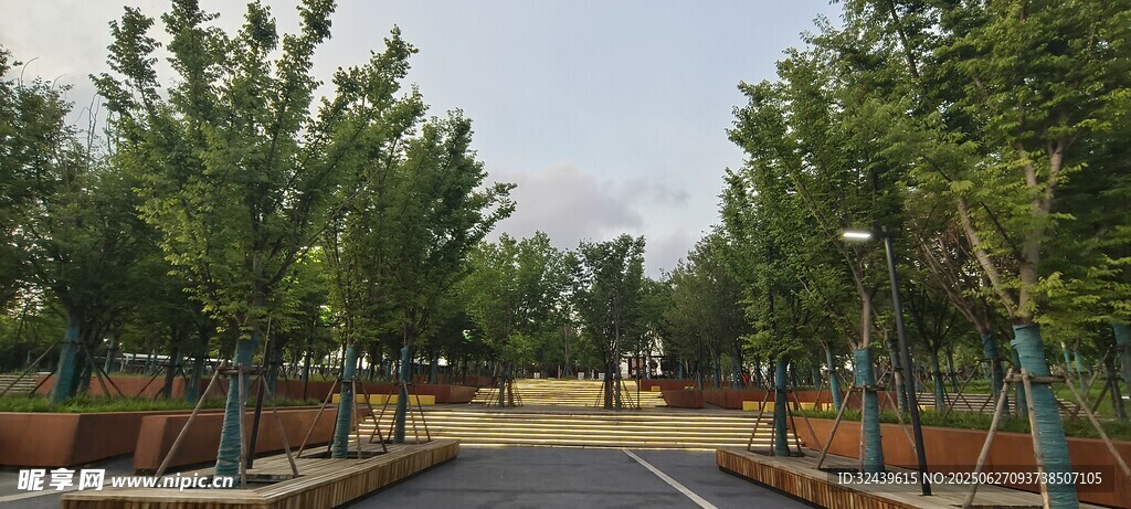 林蔭小道綠意盎然的公園