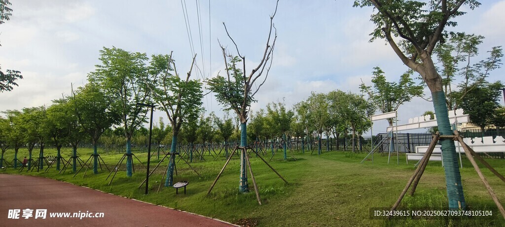 戶外綠樹成蔭的開闊場景