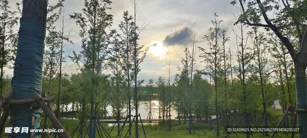 湖畔樹林美景