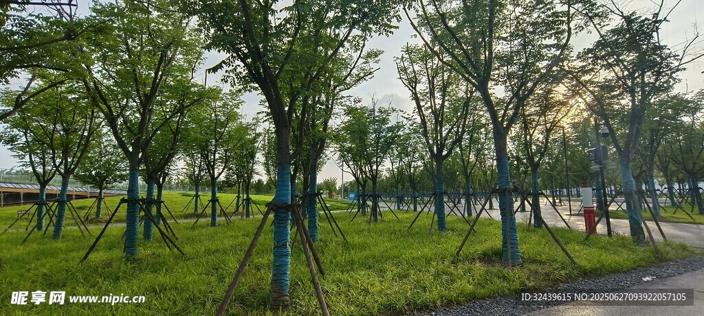 公園綠樹(shù)成蔭的美麗景致