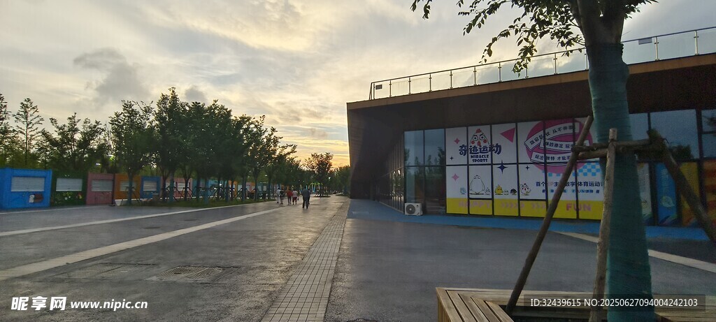 城市街道旁的建筑與樹木