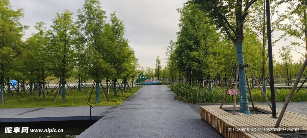 城市林蔭步道景觀