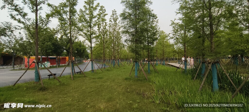 戶外綠意盎然的休閑場景