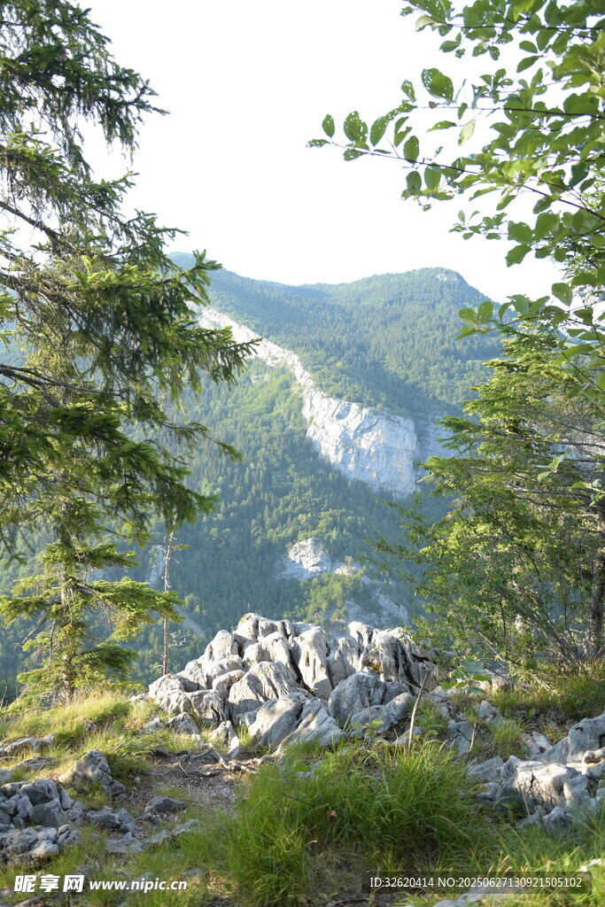 山間美景 綠意盎然的自然