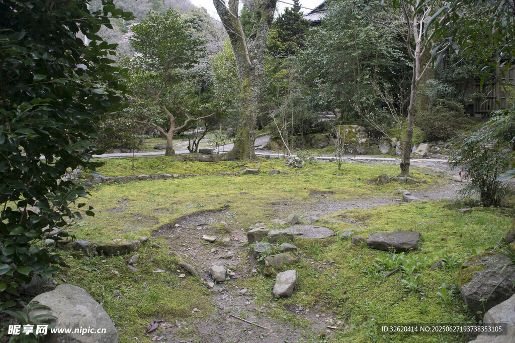 林間草地與散落石塊景觀