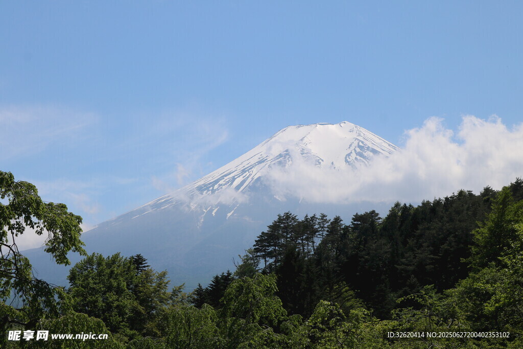 富士山美景 綠樹環(huán)繞