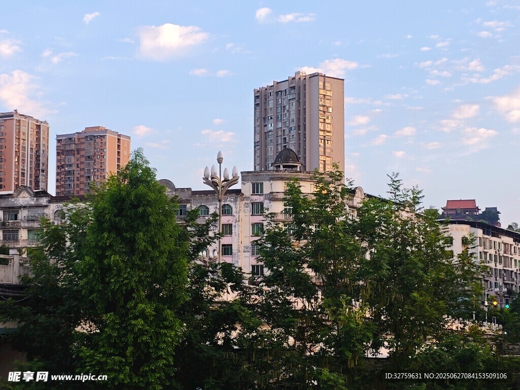 城市高樓與綠樹相映成景