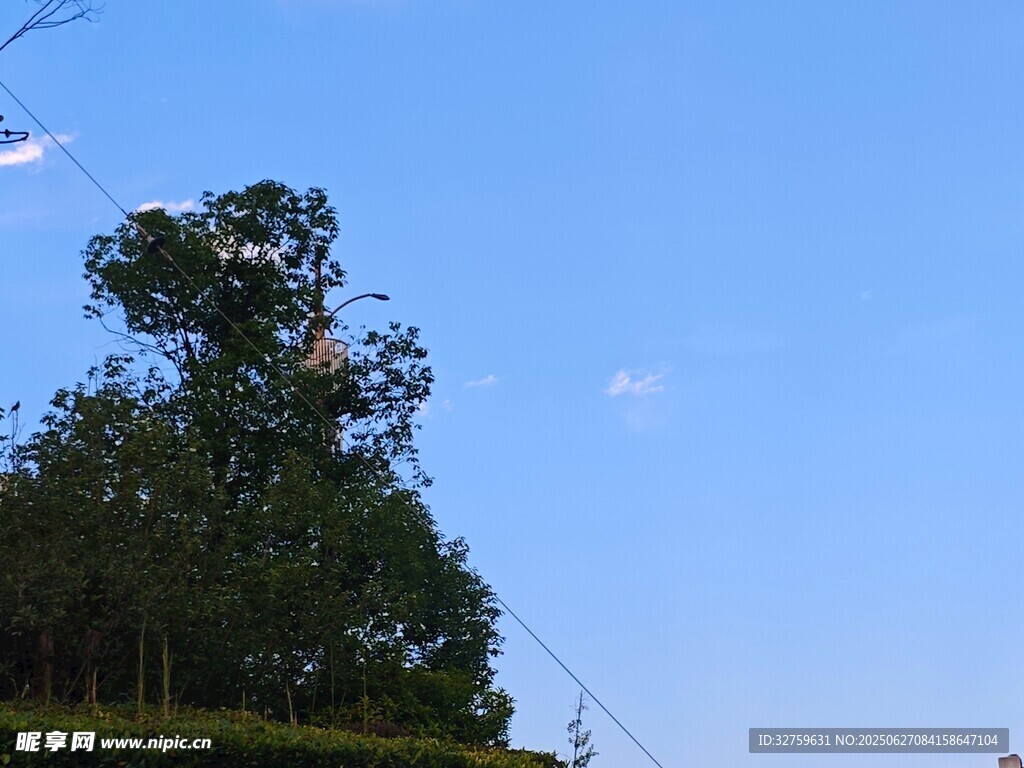 藍(lán)天綠樹(shù)風(fēng)景圖