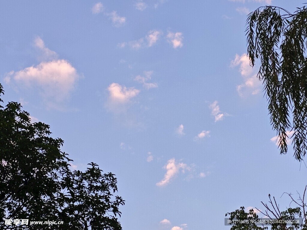 藍天綠樹間的輕柔云朵
