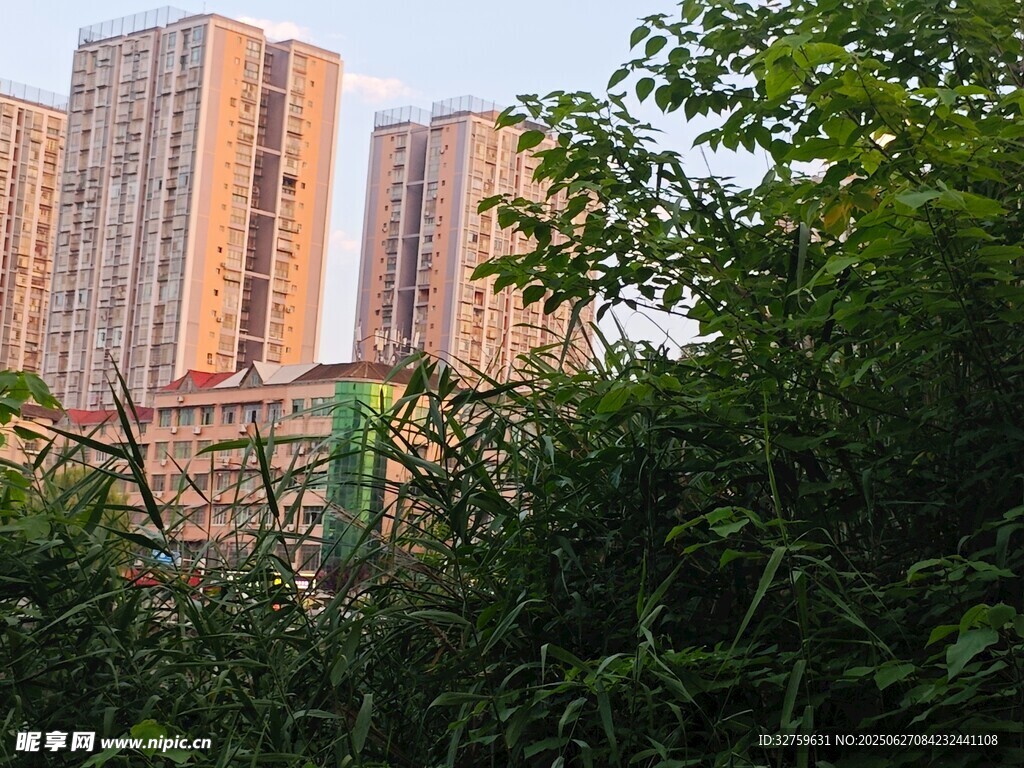 城市高樓與綠植景觀
