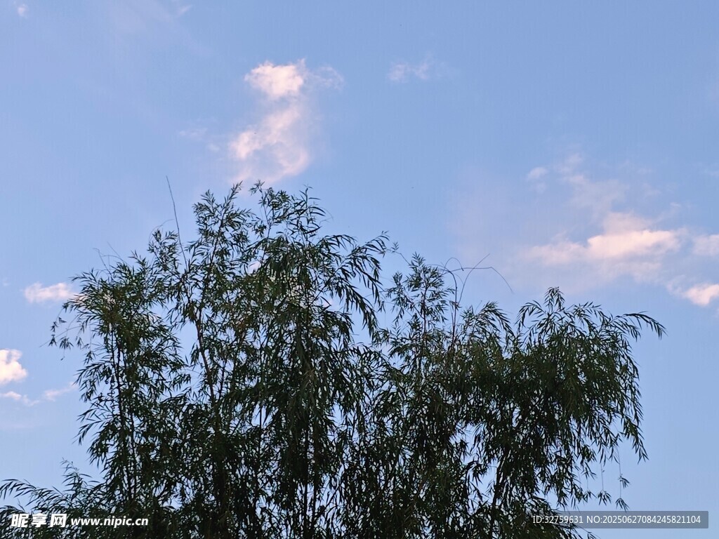 藍天綠樹間的美好景致