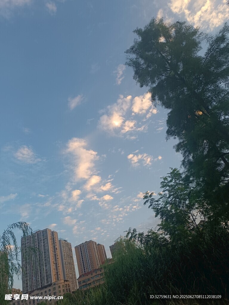 城市天空下的綠樹與建筑