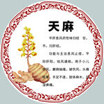 天麻介紹圖