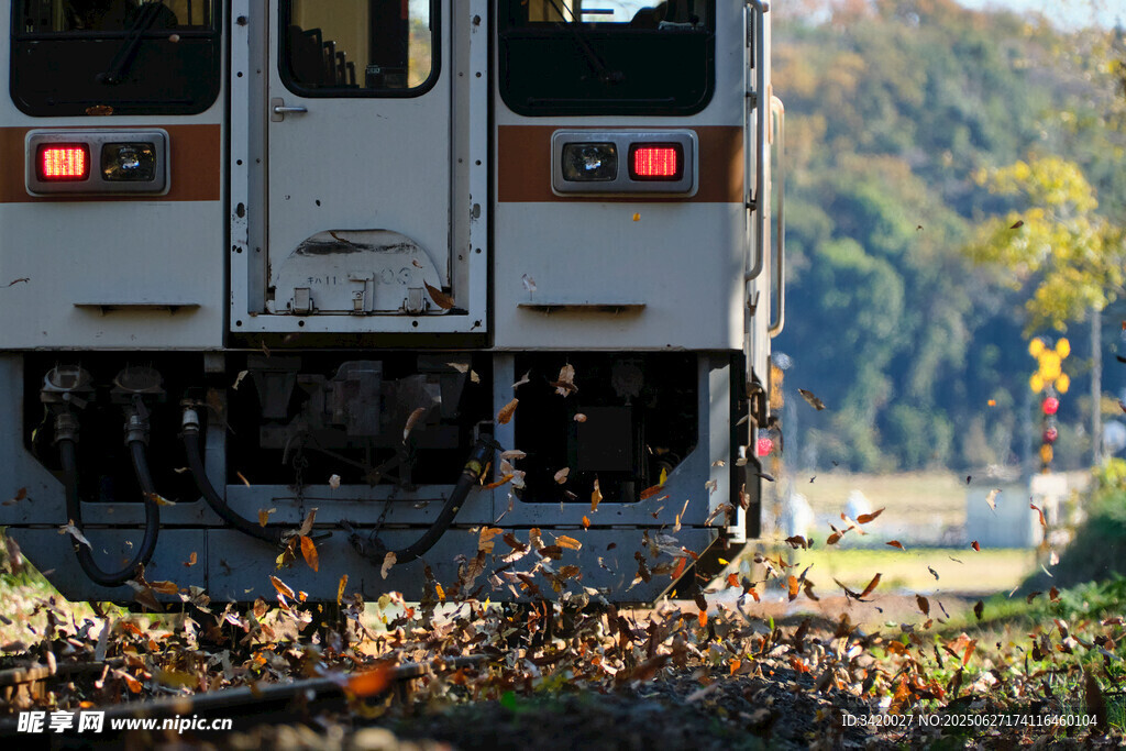 秋日列車