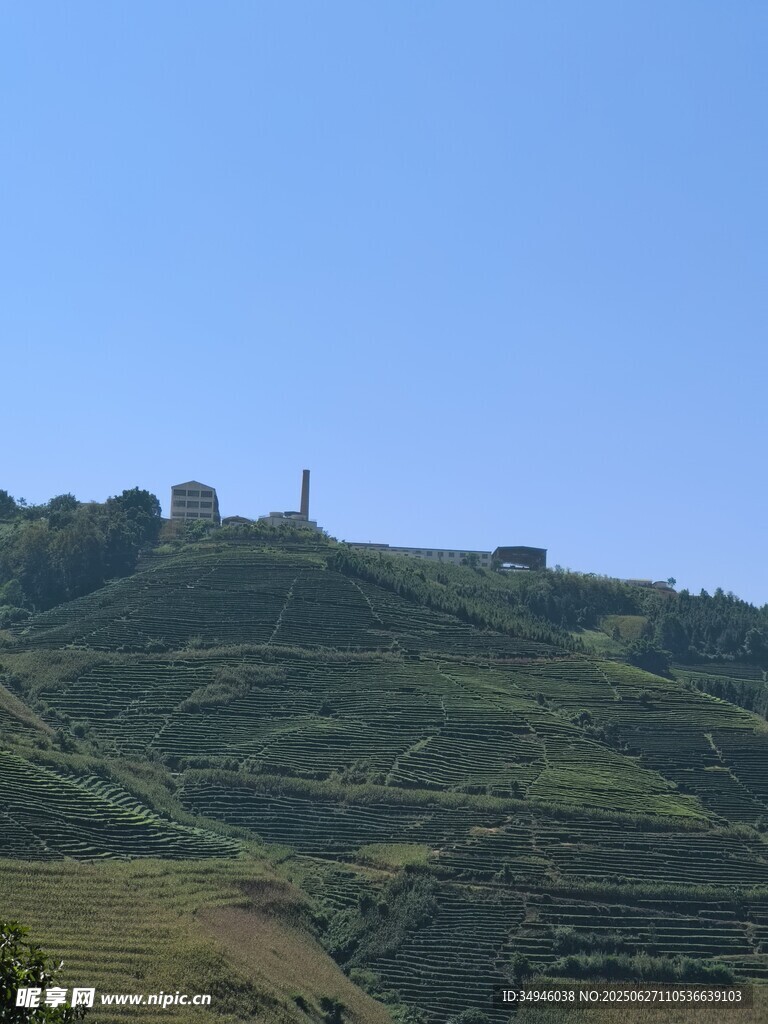 山坡風(fēng)光