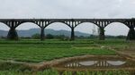 田野上的拱形鐵路橋