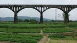 田野上的高架橋