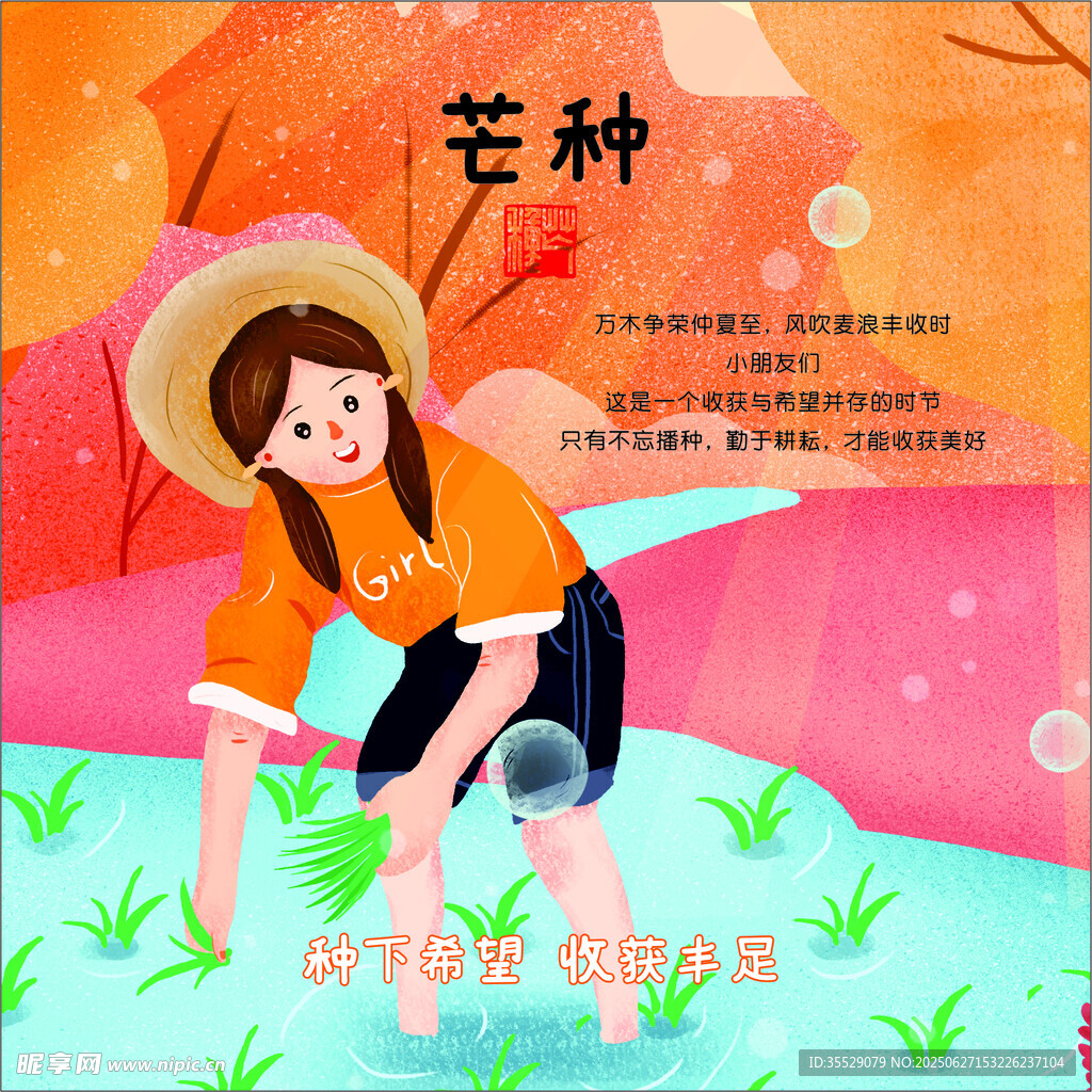 二十四節(jié)氣之 芒種