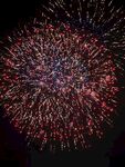 夜空中絢爛的煙花綻放