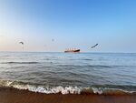 海邊美景 船只海鷗共舞