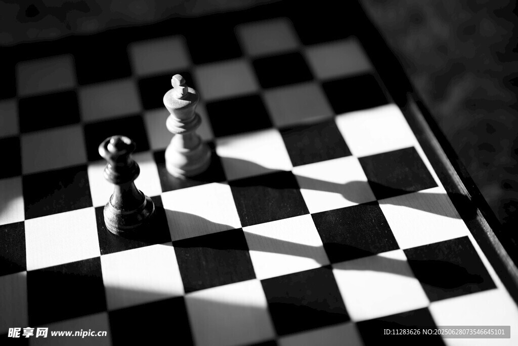 黑白棋盤上的棋子對決
