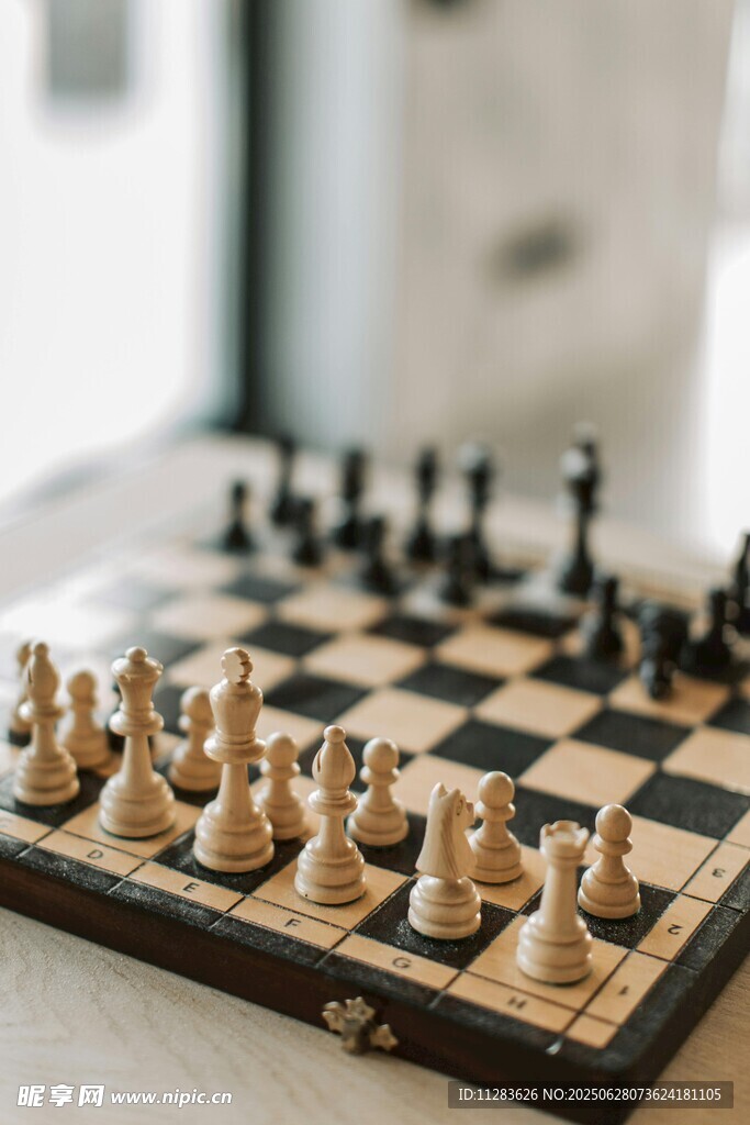 國際象棋棋盤上的棋子