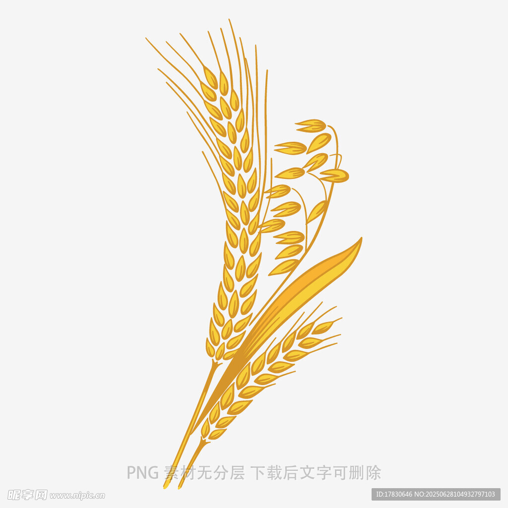 金黃麥穗圖案