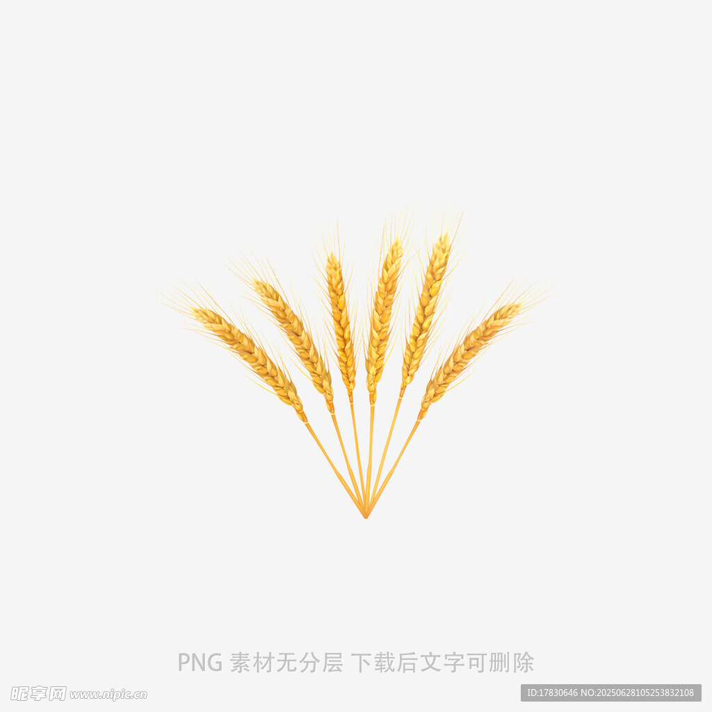 金色麥穗圖案