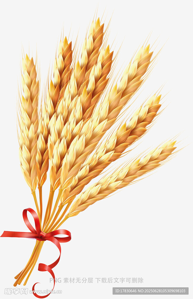 金黃麥穗綁紅絲帶裝飾