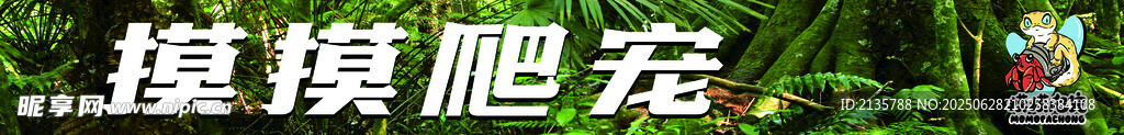 摸摸爬寵