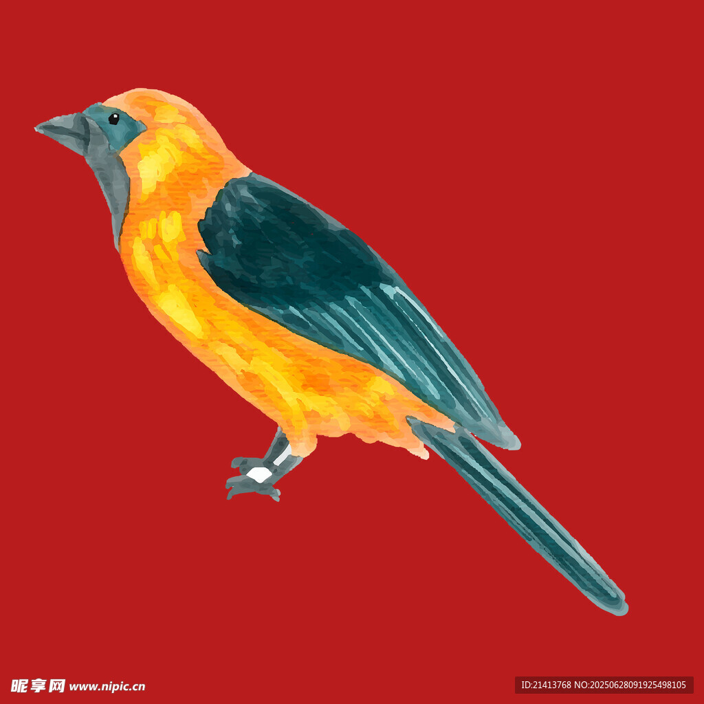 橙黑相間的美麗鳥兒