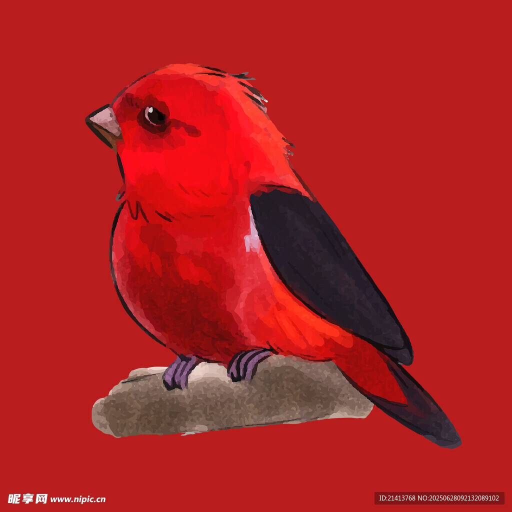 紅色小鳥棲息于樹枝上