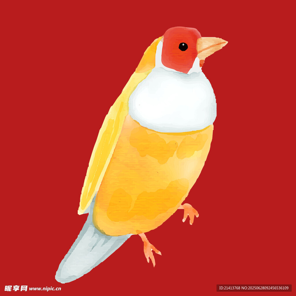 黃色小鳥插畫
