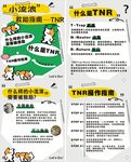 小流浪