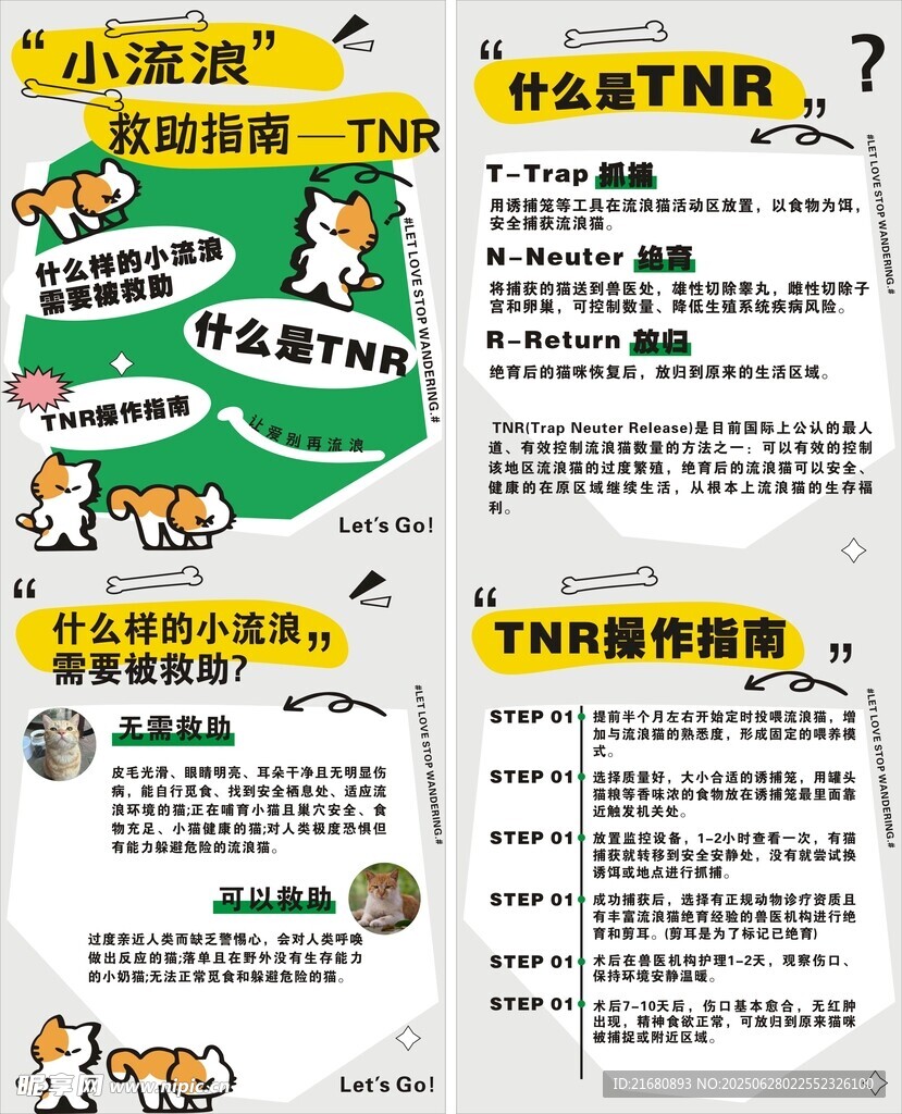 小流浪