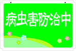 病蟲害防治指示牌