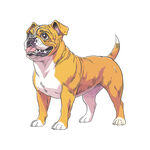 斗牛犬