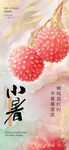 小暑海報(bào)