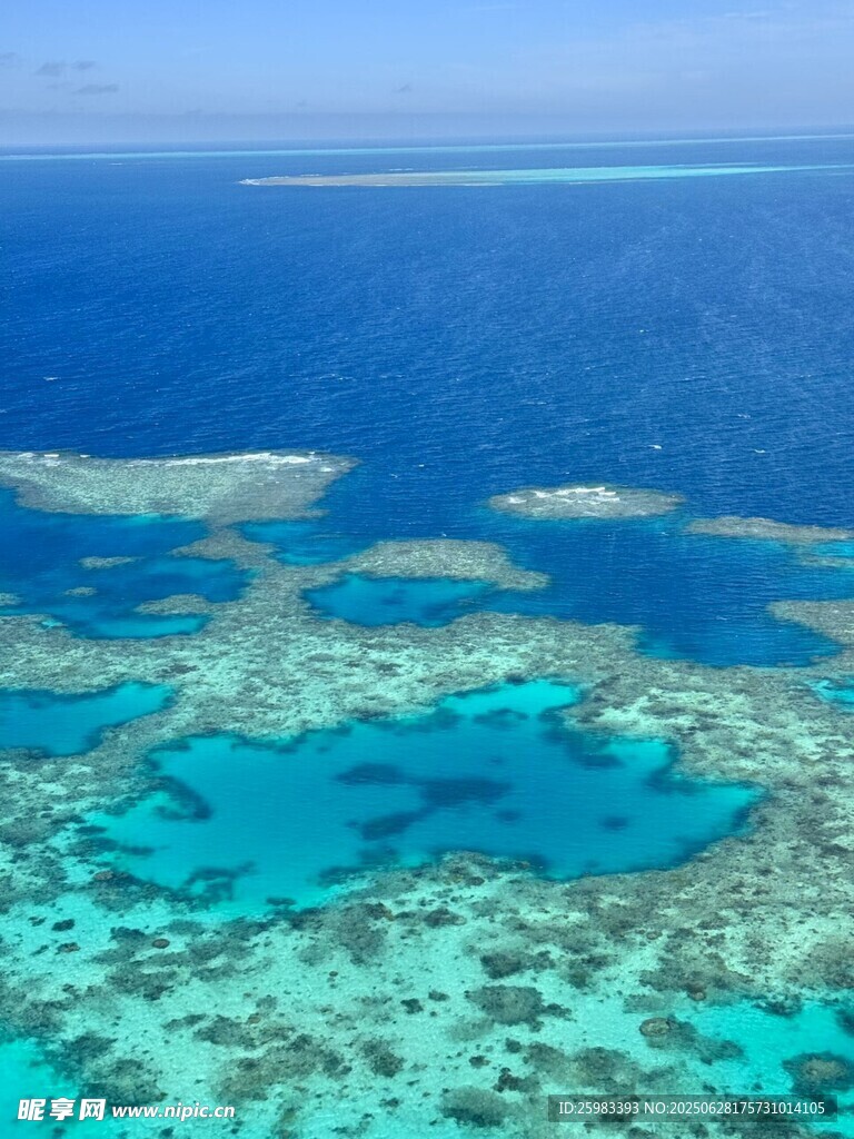 海底珊瑚礁