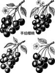 手繪櫻桃圖案