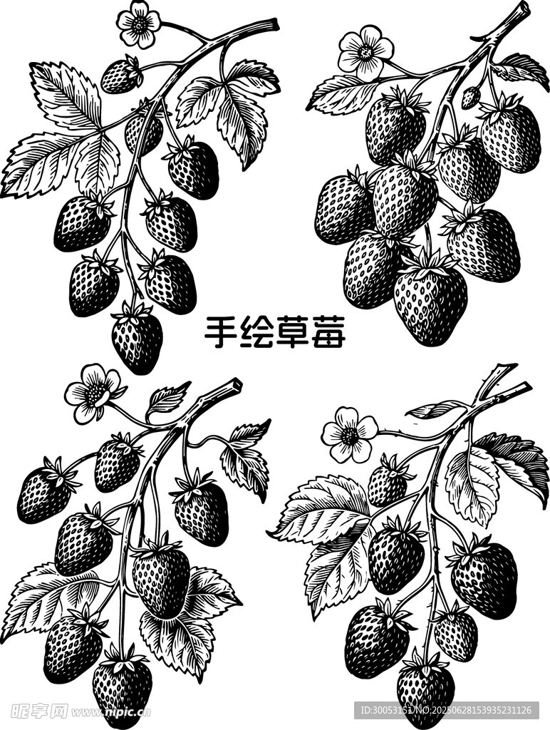 手繪草莓