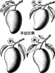 手繪芒果圖案