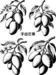 手繪芒果圖案