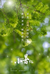  小暑海報(bào) 