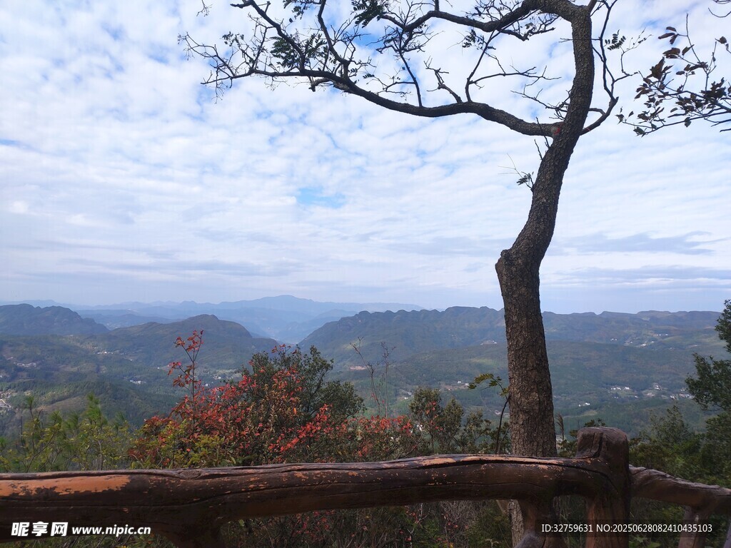 山間孤樹(shù)伴秀麗遠(yuǎn)景