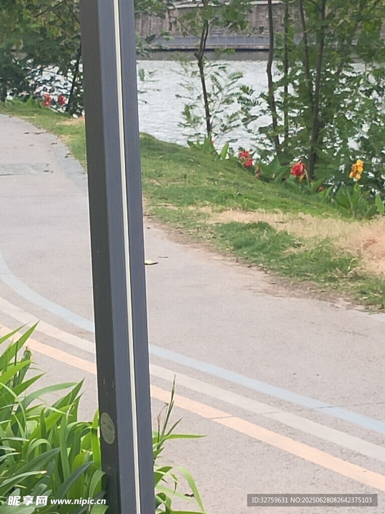 河邊小路旁的綠植與欄桿