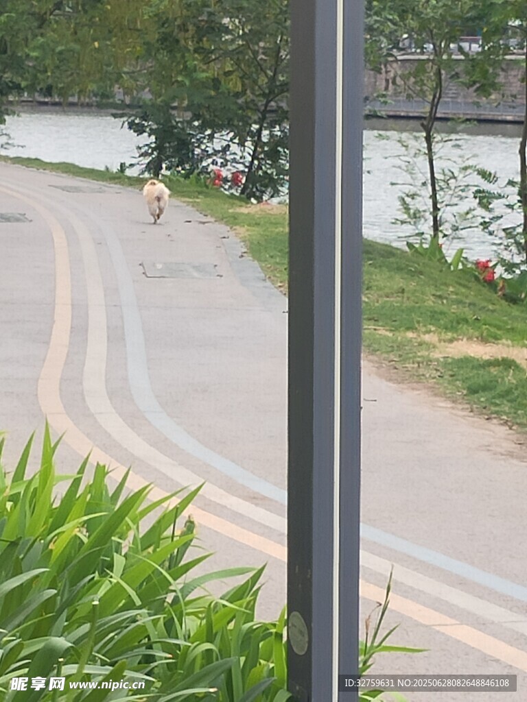 彎曲道路旁的綠植與行人